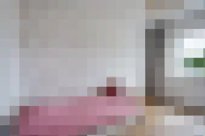 Leeuw 24 Klazienaveen thumbnail 30