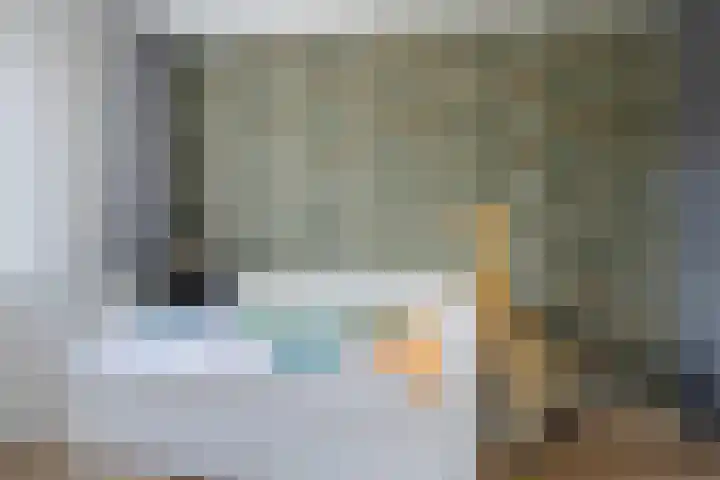 Leeuw 24 Klazienaveen thumbnail 32