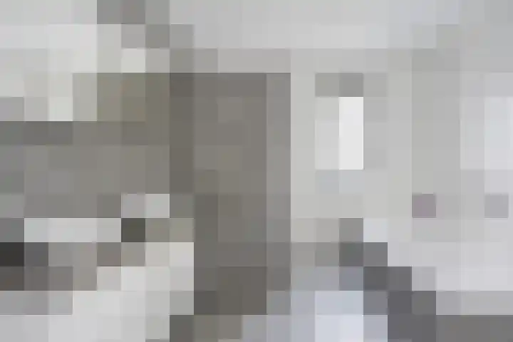 Leeuw 24 Klazienaveen thumbnail 35