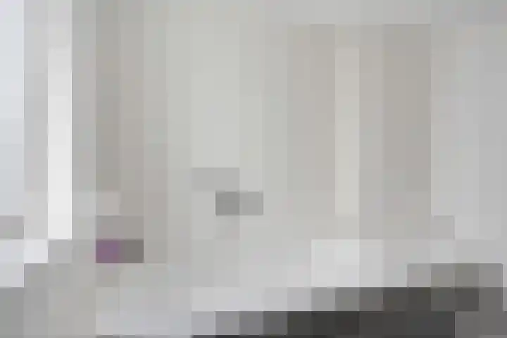 Leeuw 24 Klazienaveen thumbnail 36