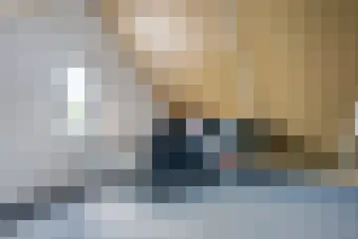 Leeuw 24 Klazienaveen thumbnail 40