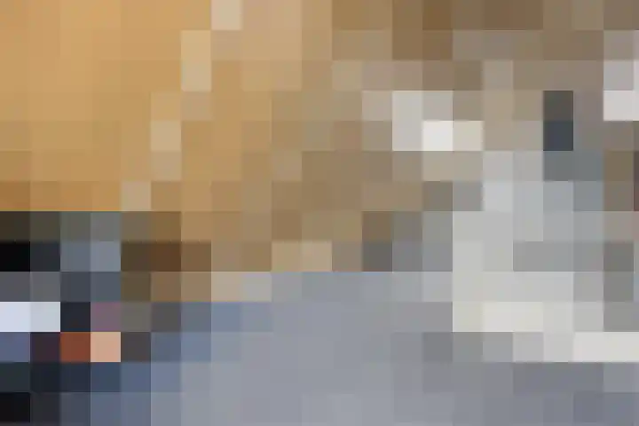 Leeuw 24 Klazienaveen thumbnail 41