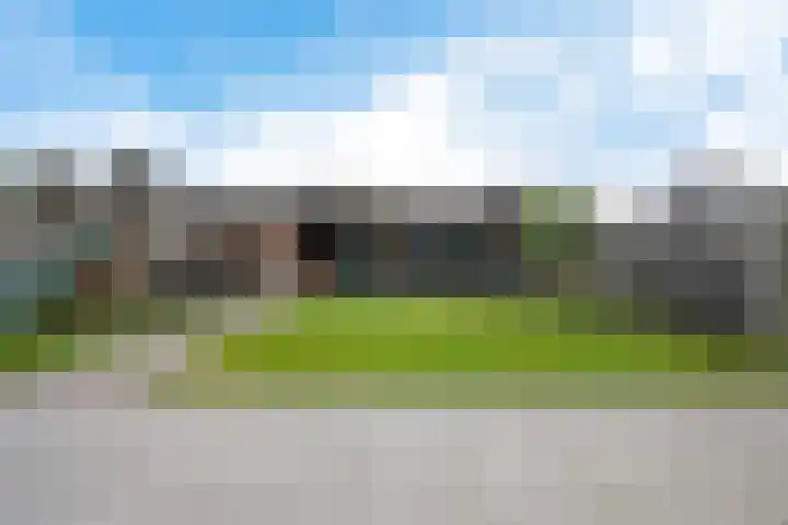 Leeuw 24 Klazienaveen thumbnail 42