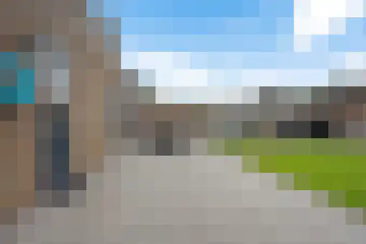 Leeuw 24 Klazienaveen thumbnail 43