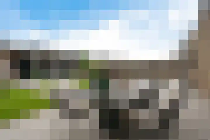 Leeuw 24 Klazienaveen thumbnail 44