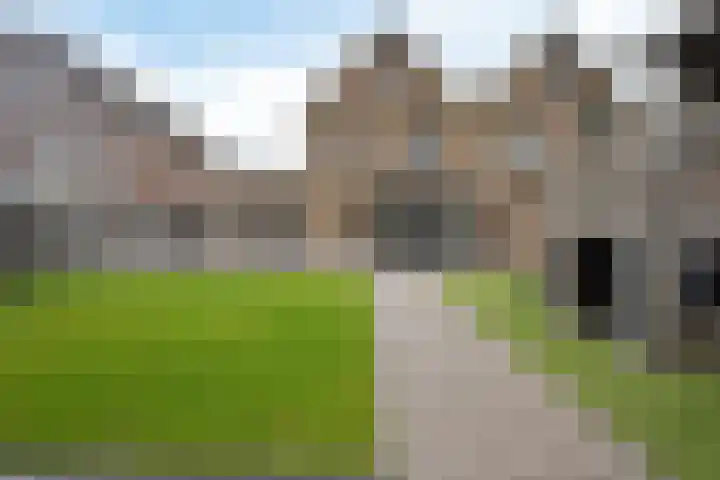 Leeuw 24 Klazienaveen thumbnail 46