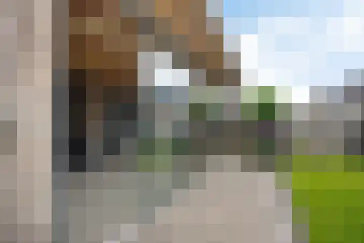Leeuw 24 Klazienaveen thumbnail 47