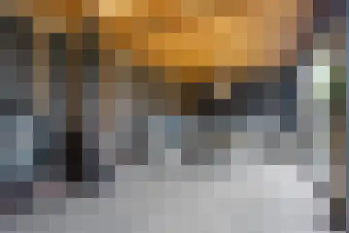 Leeuw 24 Klazienaveen thumbnail 48