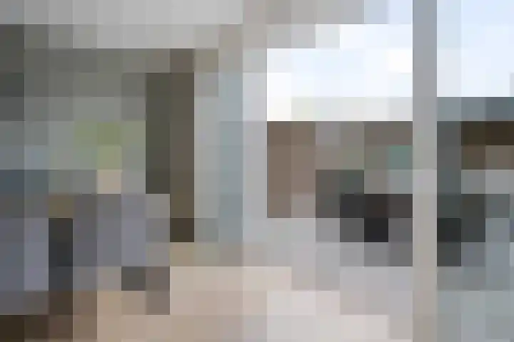 Leeuw 24 Klazienaveen thumbnail 5