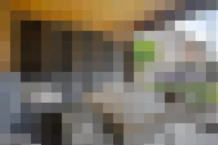 Leeuw 24 Klazienaveen thumbnail 50