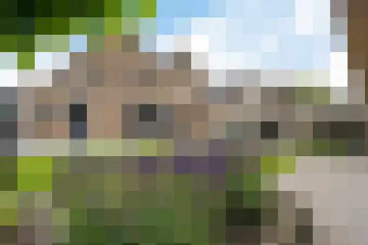 Leeuw 24 Klazienaveen thumbnail 51