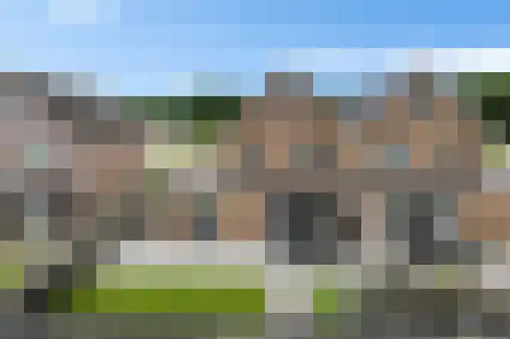 Leeuw 24 Klazienaveen thumbnail 52