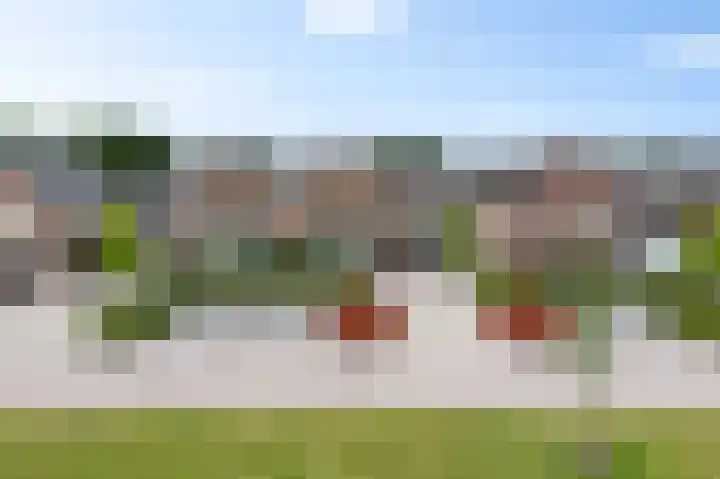 Leeuw 24 Klazienaveen thumbnail 53