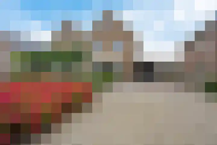 Leeuw 24 Klazienaveen thumbnail 54