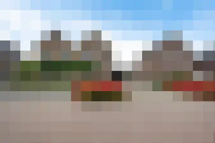 Leeuw 24 Klazienaveen thumbnail 55