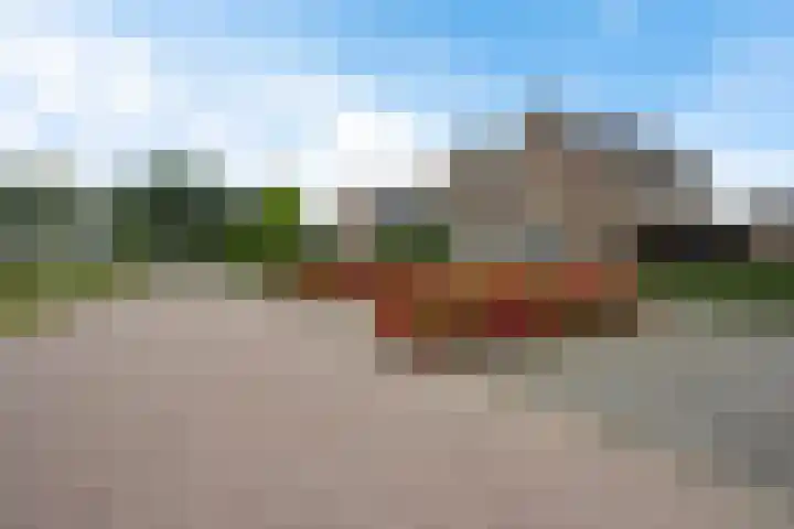 Leeuw 24 Klazienaveen thumbnail 56
