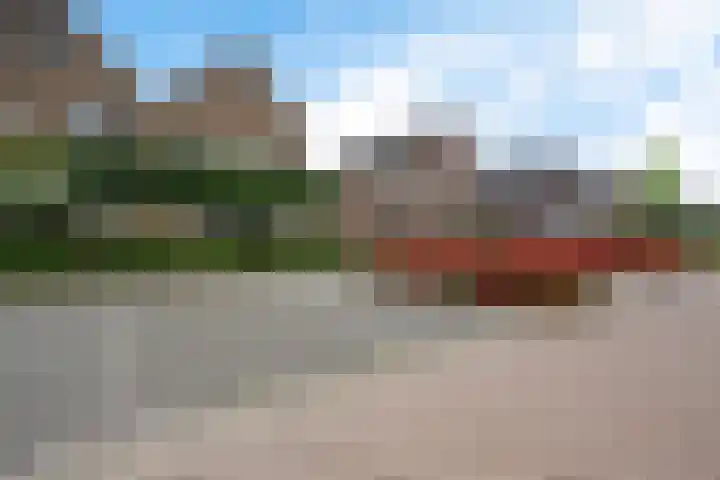 Leeuw 24 Klazienaveen thumbnail 57