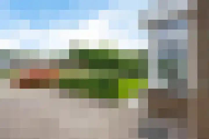 Leeuw 24 Klazienaveen thumbnail 58