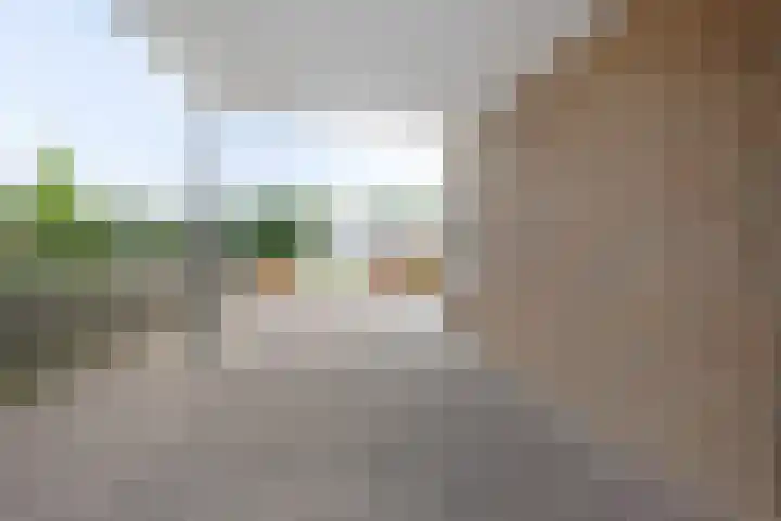 Leeuw 24 Klazienaveen thumbnail 59