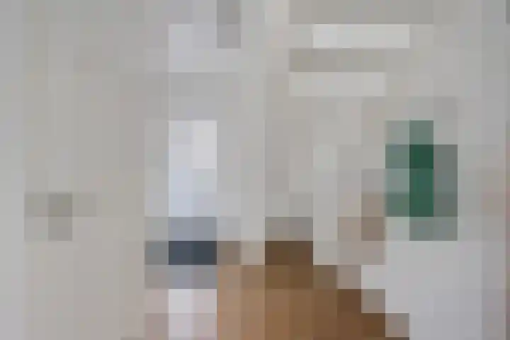 Leeuw 24 Klazienaveen thumbnail 6
