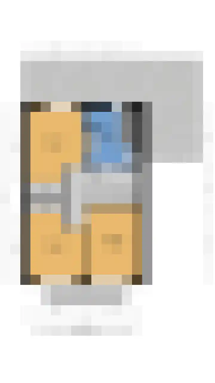 Leeuw 24 Klazienaveen thumbnail 61