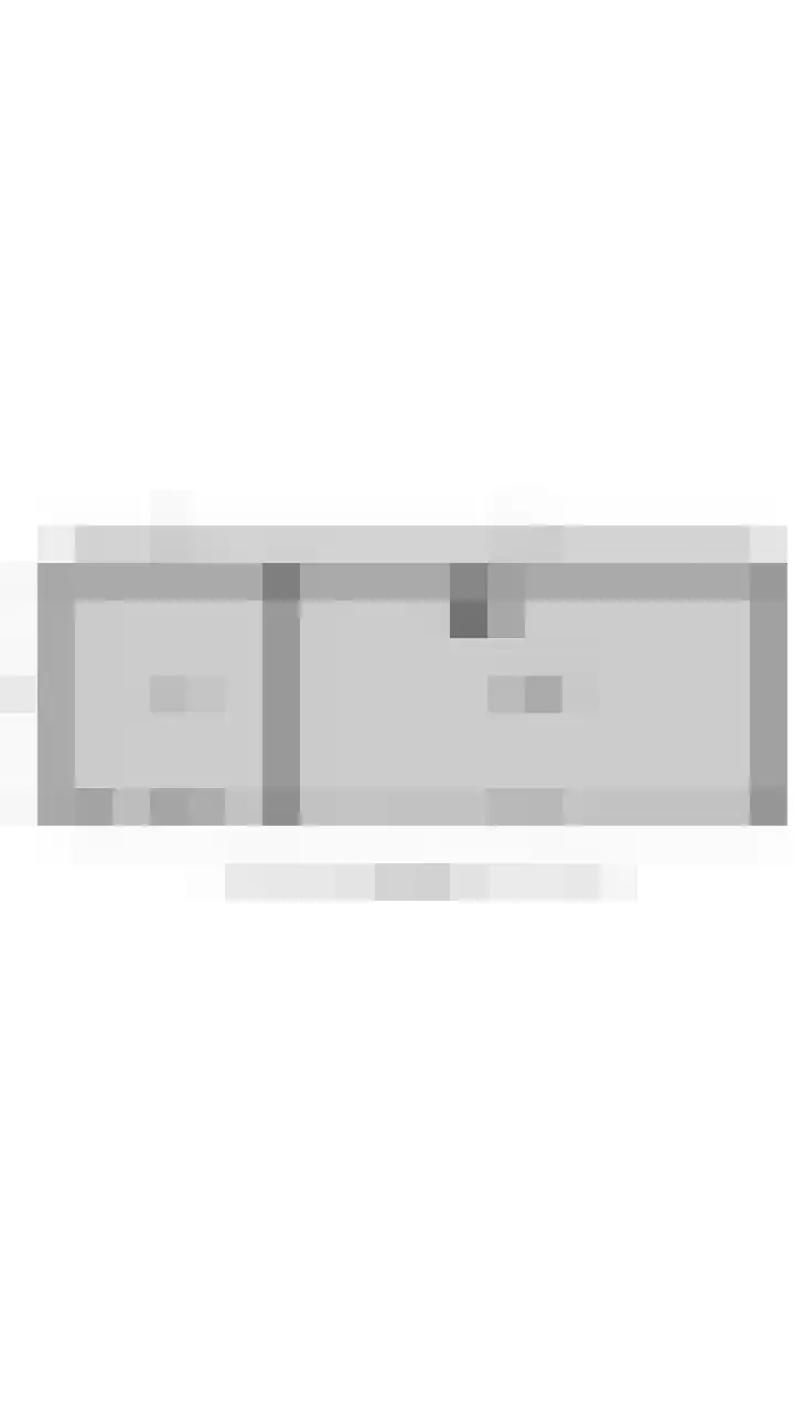 Leeuw 24 Klazienaveen thumbnail 63