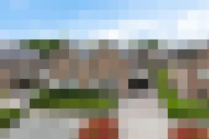 Leeuw 24 Klazienaveen thumbnail 64