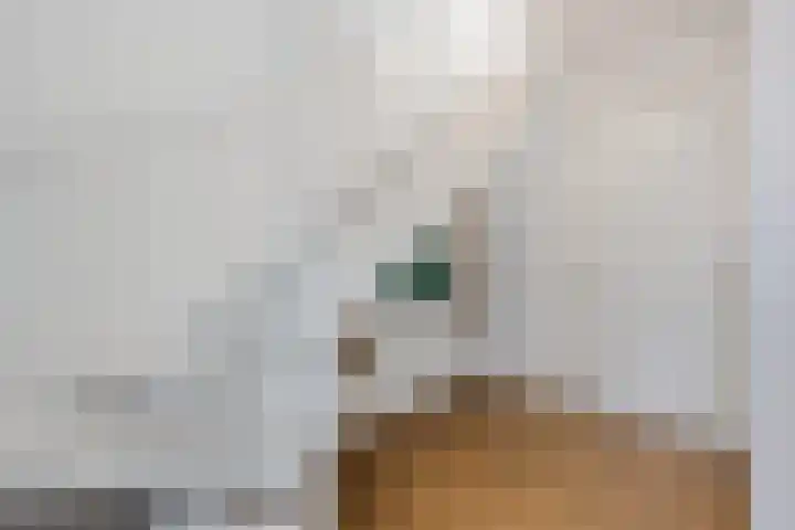 Leeuw 24 Klazienaveen thumbnail 7