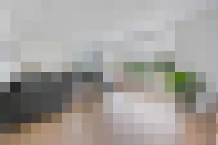 Leeuw 24 Klazienaveen thumbnail 9