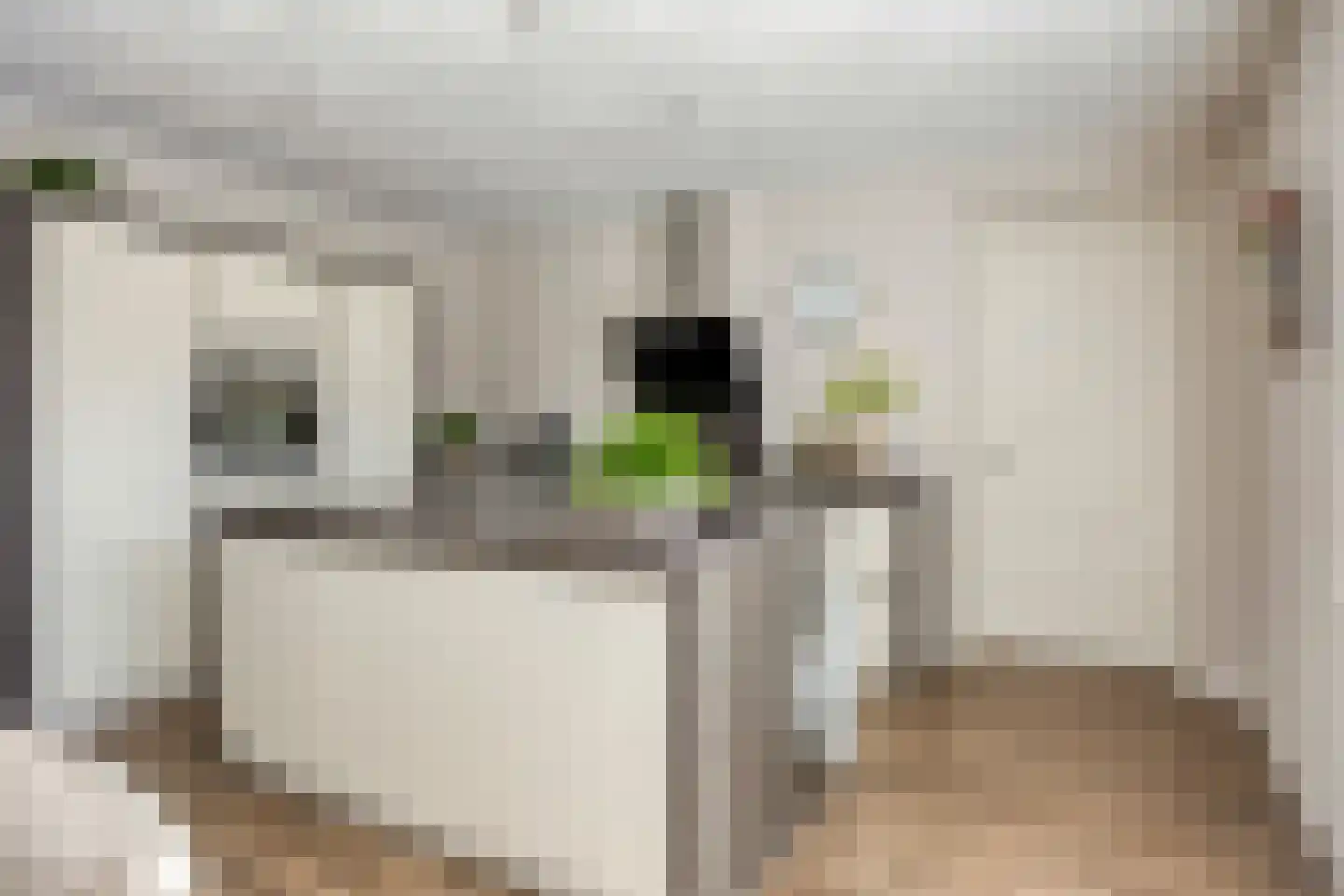 Leeuw 26 Klazienaveen thumbnail 10