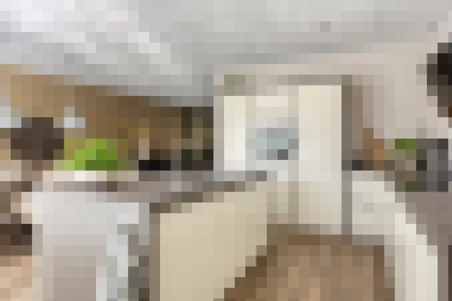 Leeuw 26 Klazienaveen thumbnail 11