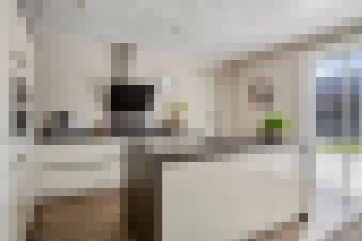 Leeuw 26 Klazienaveen thumbnail 12