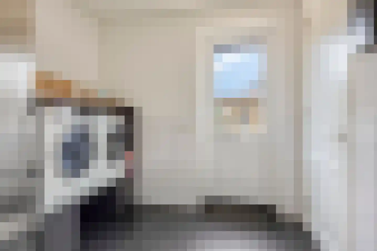 Leeuw 26 Klazienaveen thumbnail 13