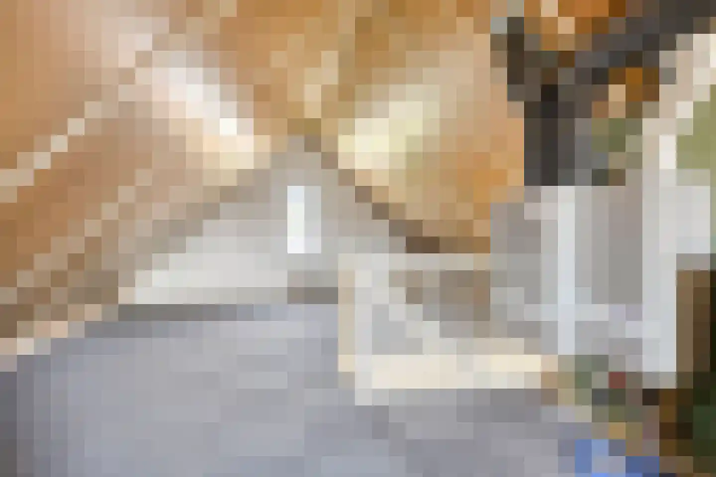 Leeuw 26 Klazienaveen thumbnail 21