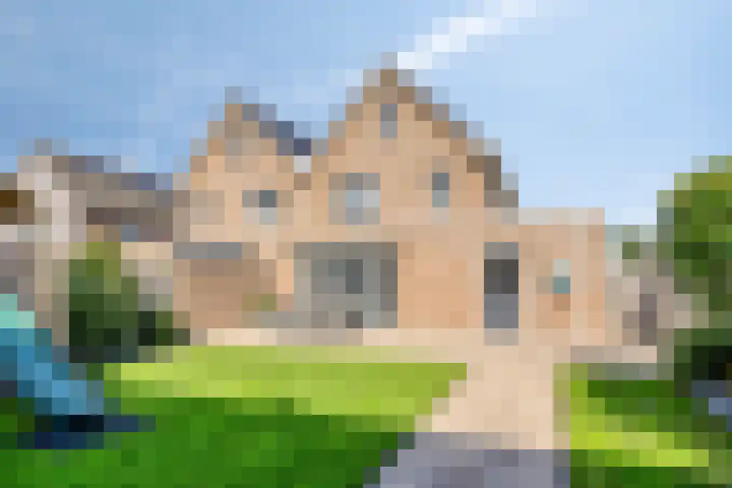 Leeuw 26 Klazienaveen thumbnail 24