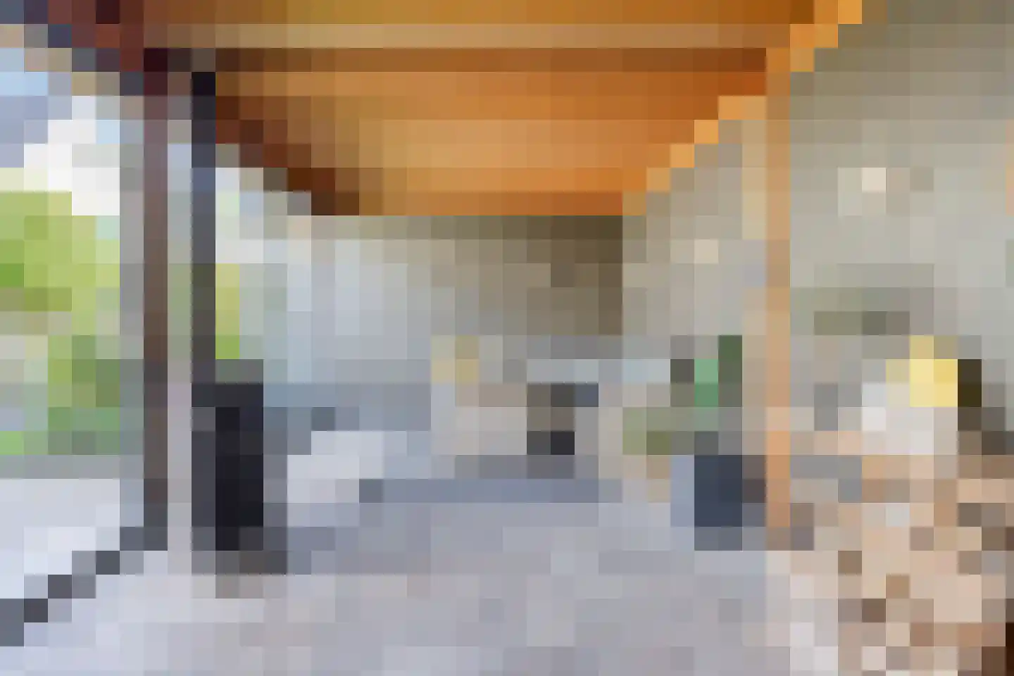 Leeuw 26 Klazienaveen thumbnail 25