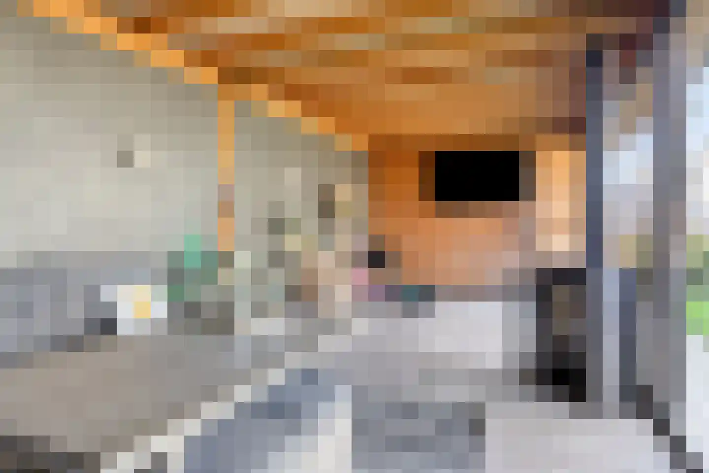 Leeuw 26 Klazienaveen thumbnail 26