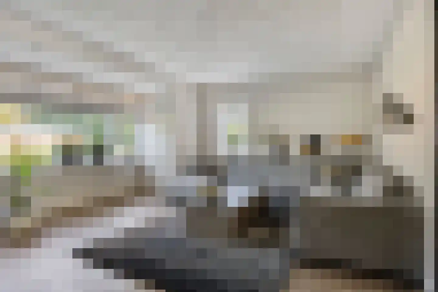 Leeuw 26 Klazienaveen thumbnail 4