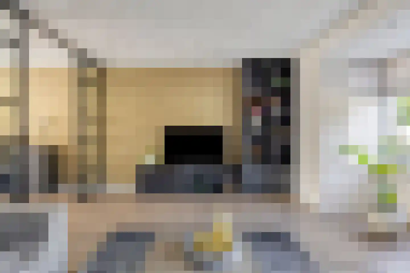 Leeuw 26 Klazienaveen thumbnail 5