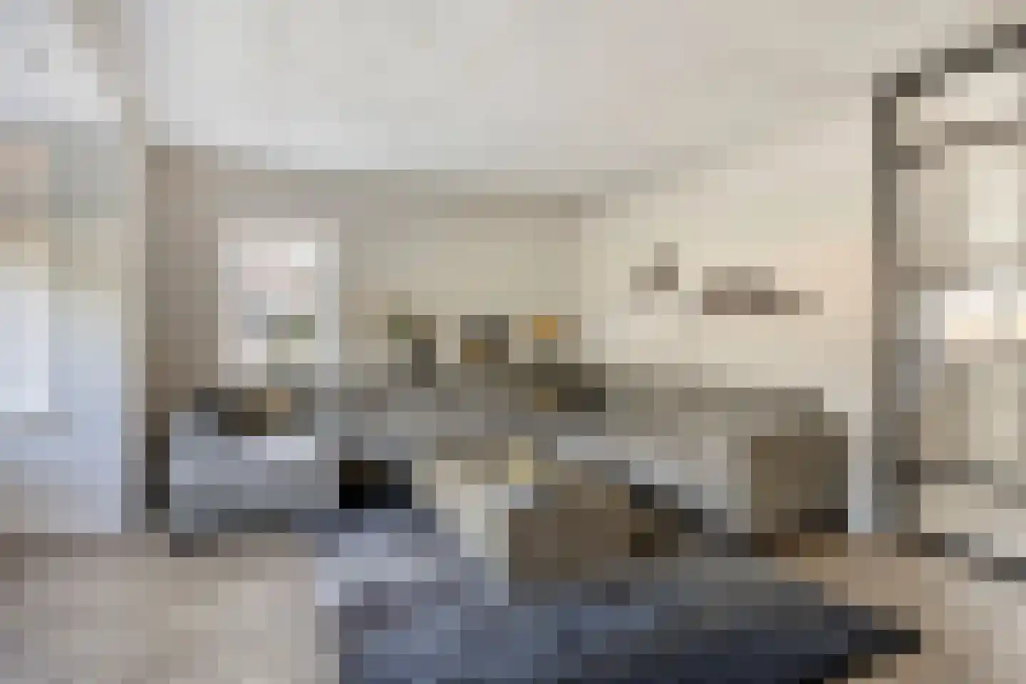 Leeuw 26 Klazienaveen thumbnail 6