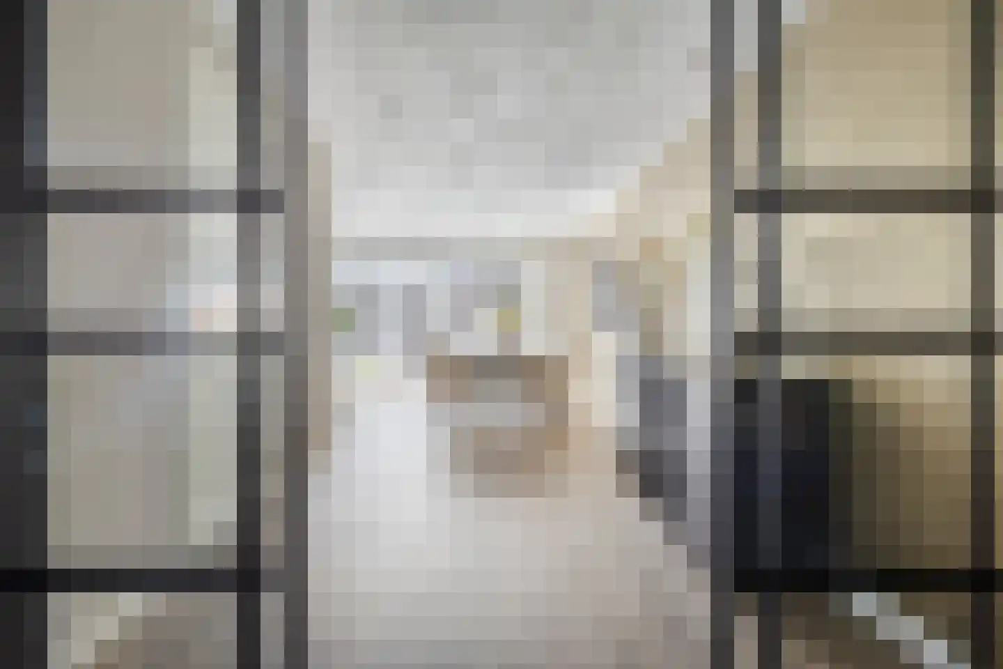 Leeuw 26 Klazienaveen thumbnail 7