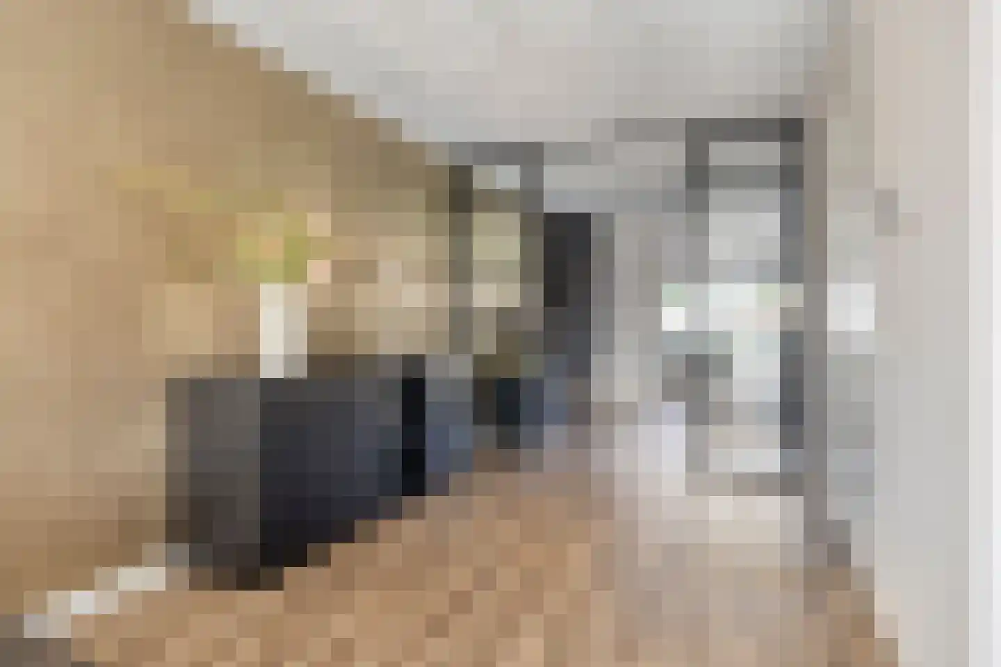 Leeuw 26 Klazienaveen thumbnail 9