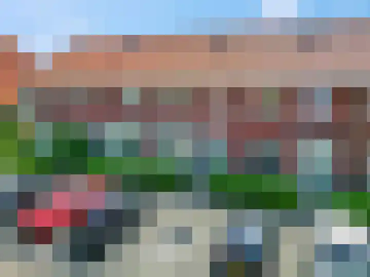 Leeuw 6 Elst