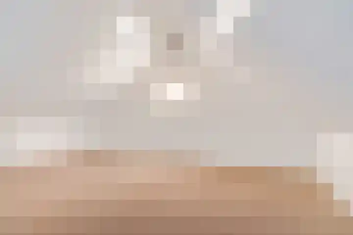 Leeuw 6 Elst thumbnail 20