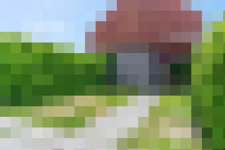 Leeuw 6 Elst thumbnail 22
