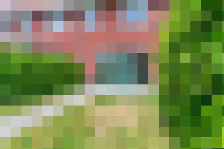 Leeuw 6 Elst thumbnail 24