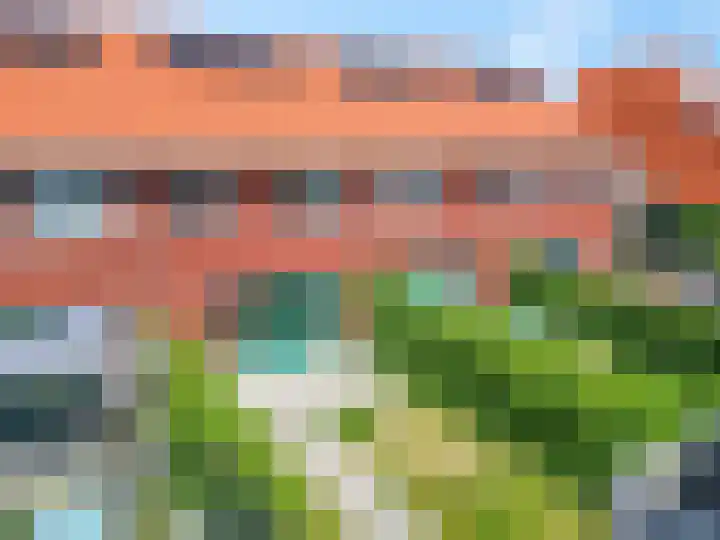 Leeuw 6 Elst thumbnail 26