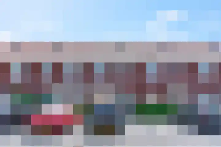 Leeuw 6 Elst thumbnail 27