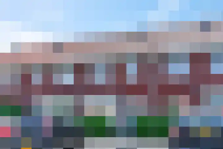 Leeuw 6 Elst thumbnail 28