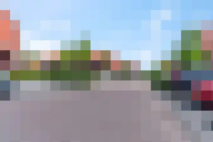 Leeuw 6 Elst thumbnail 29